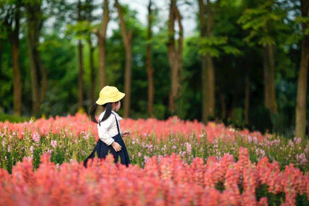 好孩子都来自什么家庭？这10句精华，请父母牢记