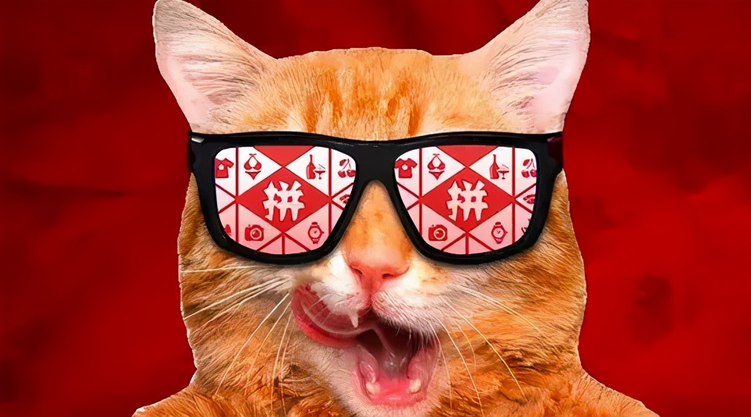 拼多多为什么能卖伪劣产品,拼多多会不会干掉淘宝