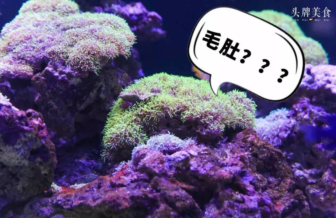 绚丽珊瑚海300+种海底生物，火爆盆友圈的网红打卡圣地就在中山路