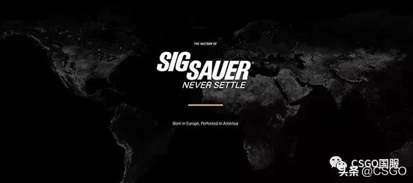 西格绍尔45冲锋枪,西格绍尔战术冲锋枪