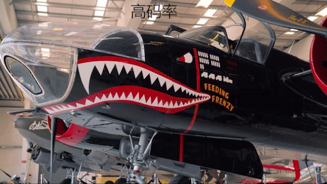 新手入门拍摄的视频,新手入门拍视频要买什么