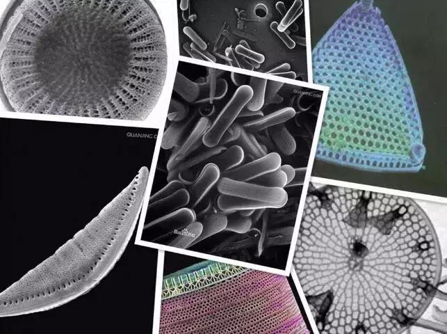 为什么这“一块板子”成了小红书、淘宝爆款？