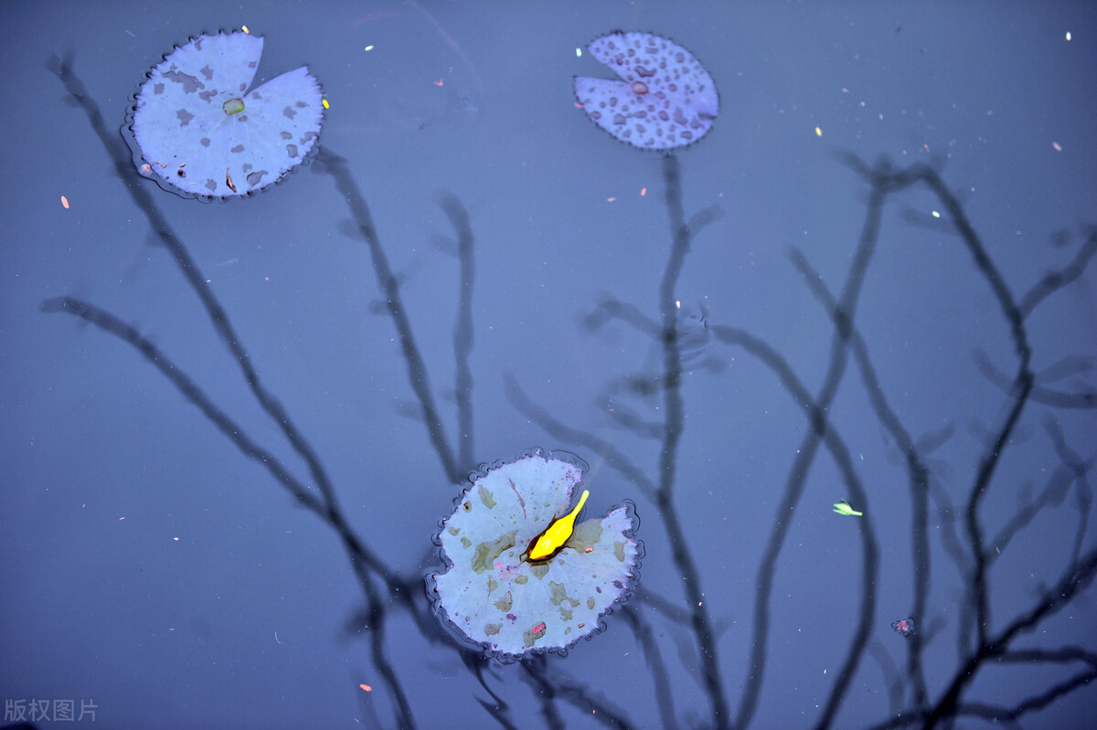 女子励志霸气的座右铭,学生座右铭励志简短霸气短句