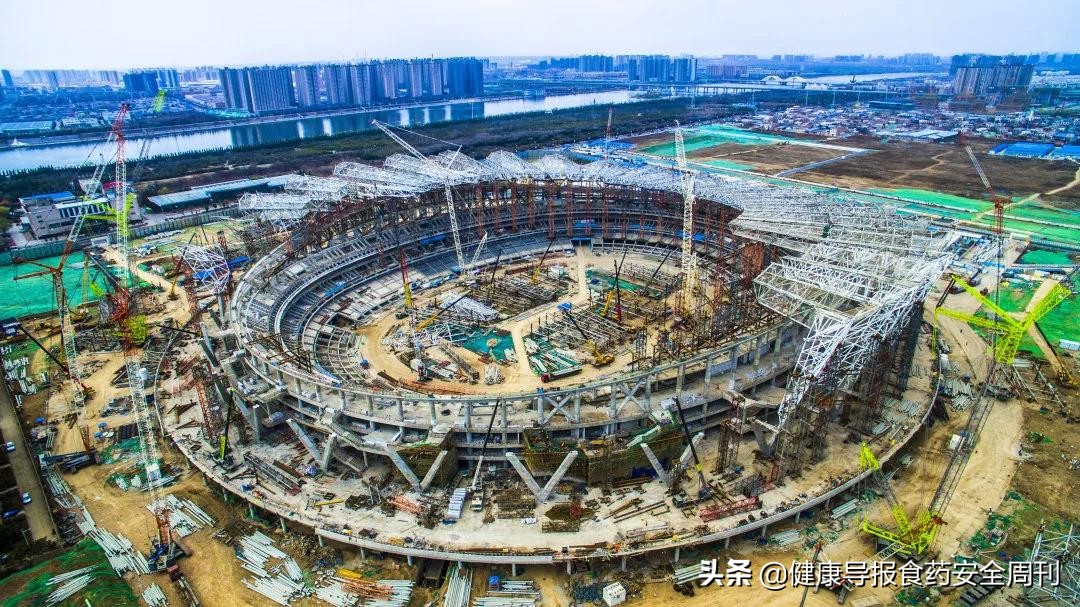 西安世园会石榴花,西安石榴花