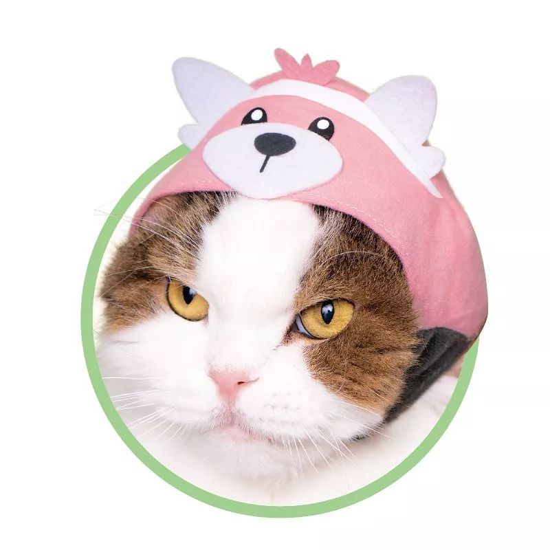 买彩票乐趣,买福利彩票乐趣