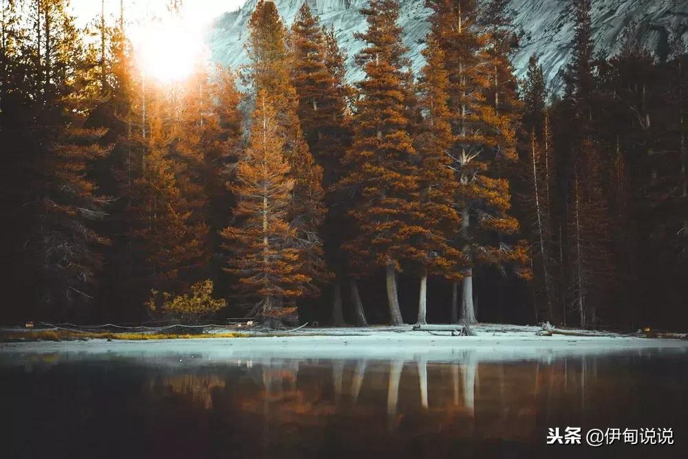 西安雷克萨斯车友会RX车友会ES车友会LX570车友会诚邀您加入