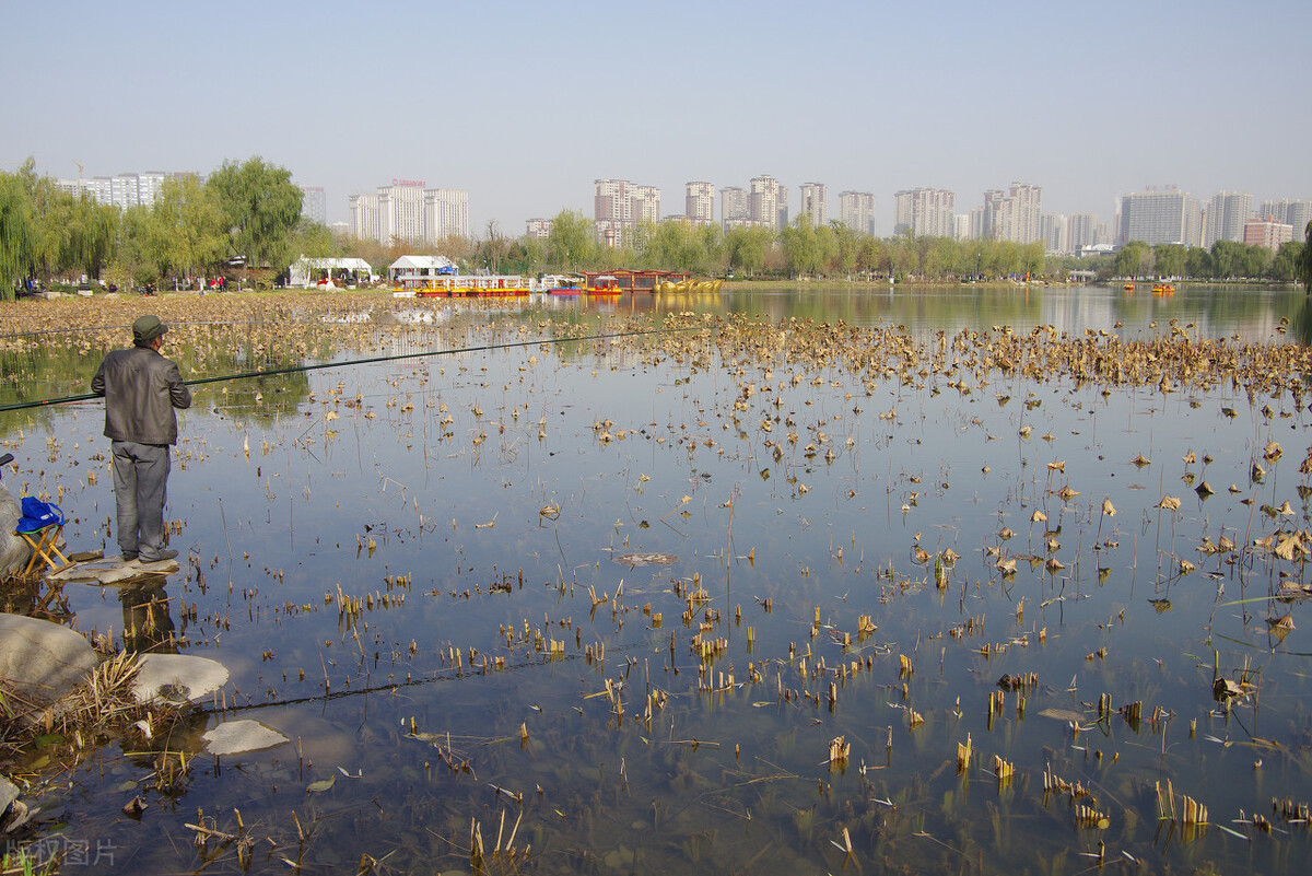 天气转凉钓鱼应该钓深还是钓浅,野钓选什么样强度的竿