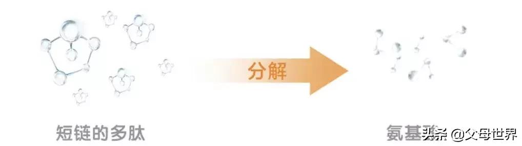 过敏的健康小知识,过敏有什么样子