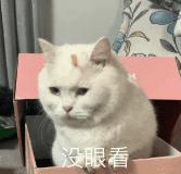 绝地求生影视化，真挚的兄弟情再度打开？大热IP究竟如何改编