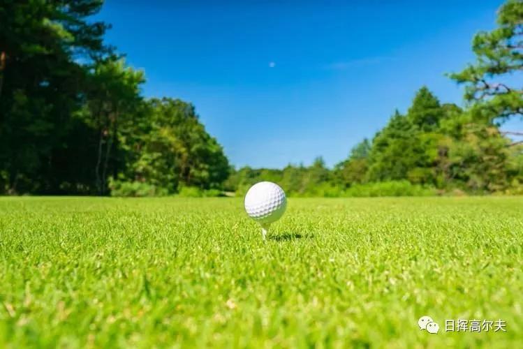 高尔夫球基本知识,高尔夫球规则和比赛技巧