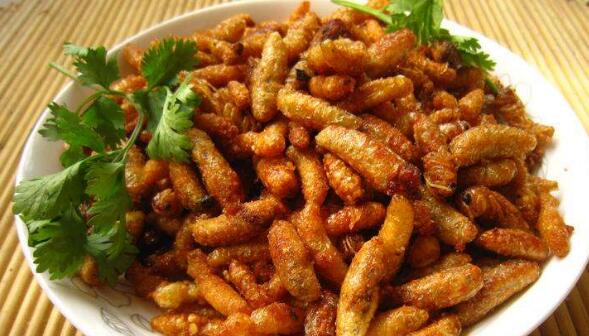 舌尖上的56个民族,舌尖上的100种美食