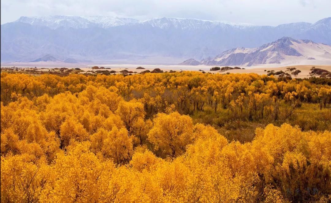 青海旅游攻略景点必去,一生一定要去一次青海吗