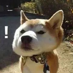 微信更新了后悔了怎么办,微信更新修复了一些已知问题