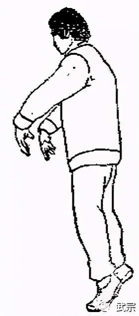 龙门铁布衫,武当铁布衫秘传功法图片