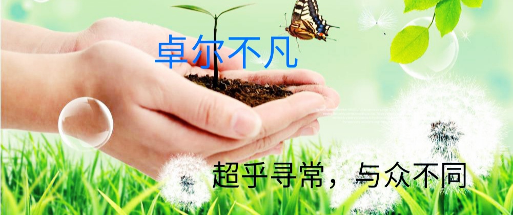 杨鸣当主教练获得几个总冠军,杨鸣从主力变主教练