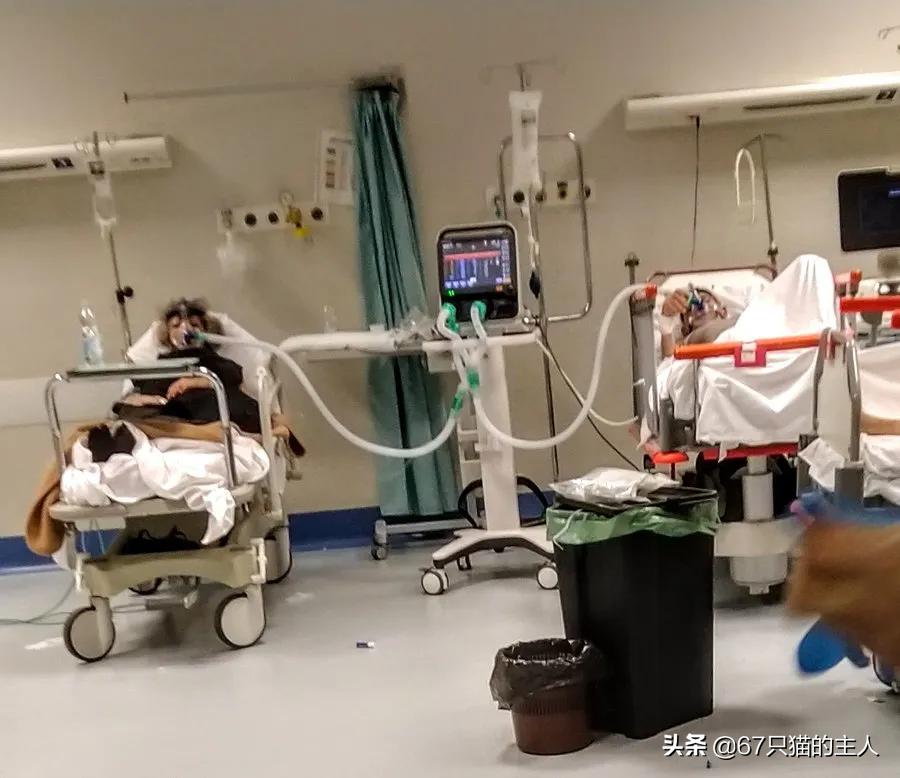 呼吸机成“倒爷”新理财产品国外紧缺甚至拉来宠物用呼吸机救急