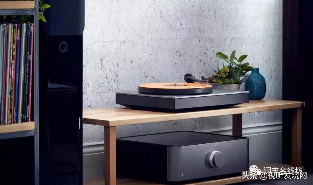 专业知识免费听,黑胶正确入门方法