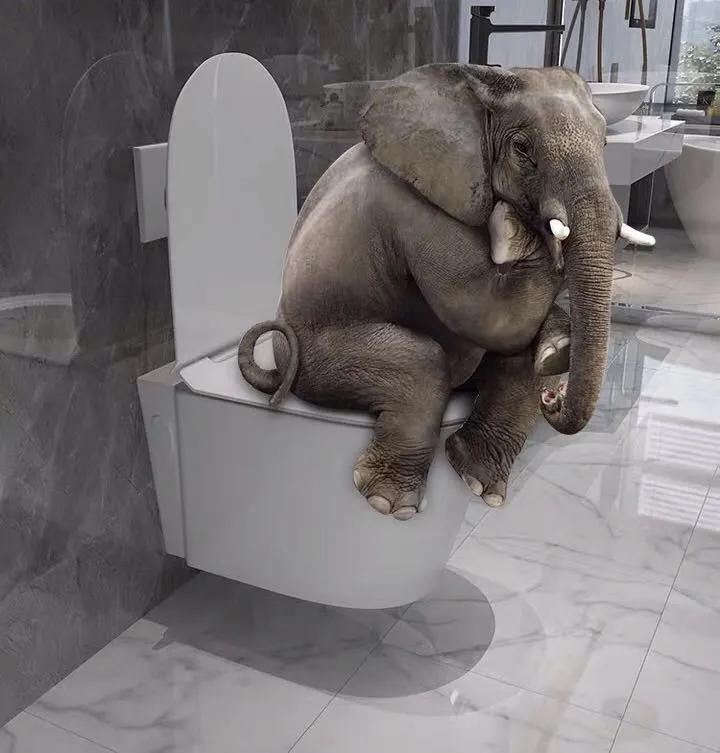 挂壁式马桶的优缺点施工工艺,挂壁式马桶比较