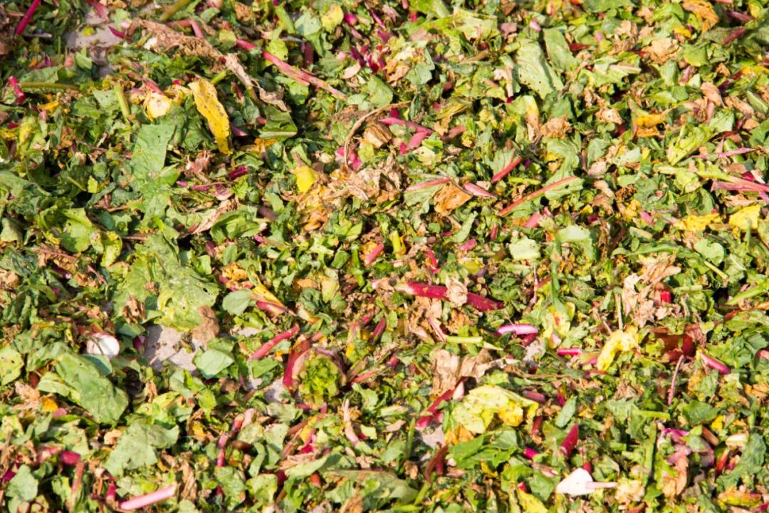 寻访秦岭龙潭村，背篓都是背在背上，这位大婶为何将其挎在腰间？