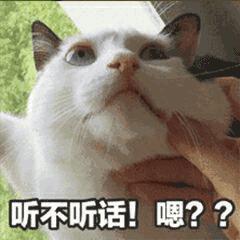 办假的学历犯法吗,办假的学历什么后果