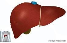 骆抗先乙肝肝硬化逆转的概率,桂林小曾谈乙肝早期肝硬化逆转