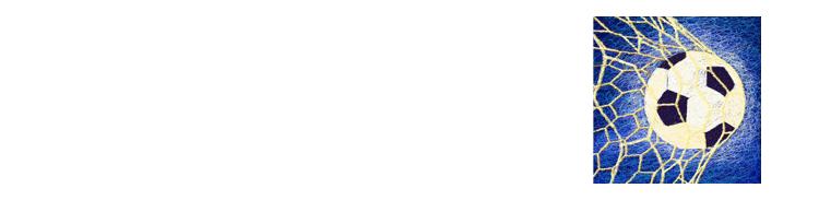 北青埃尔克森将入选国足大名单,李铁艾克森里皮