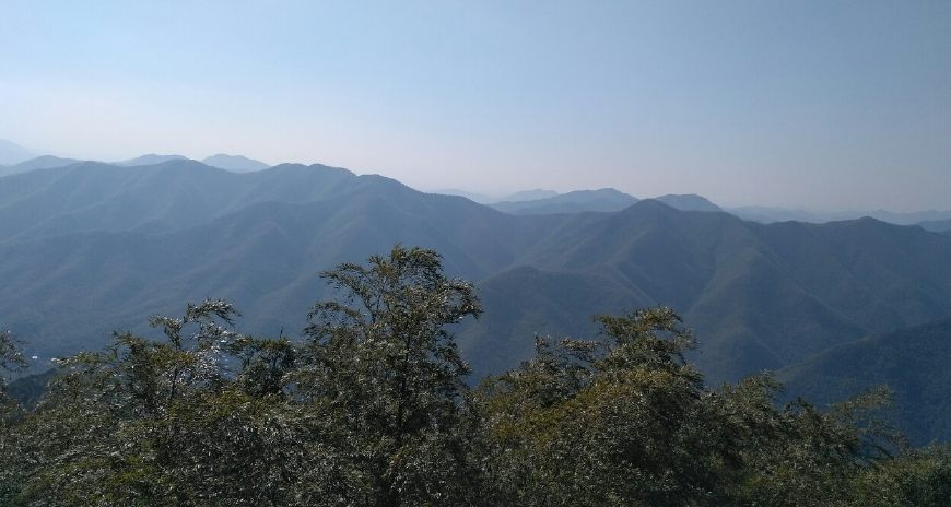 风景秀丽的宜兴竹海,漫步竹林呼吸大自然的清新