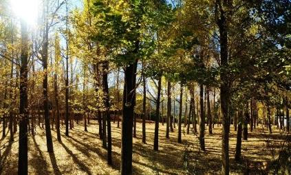 昆明适合拍照的景点有哪些,昆明大理周边旅游景点排名榜前十