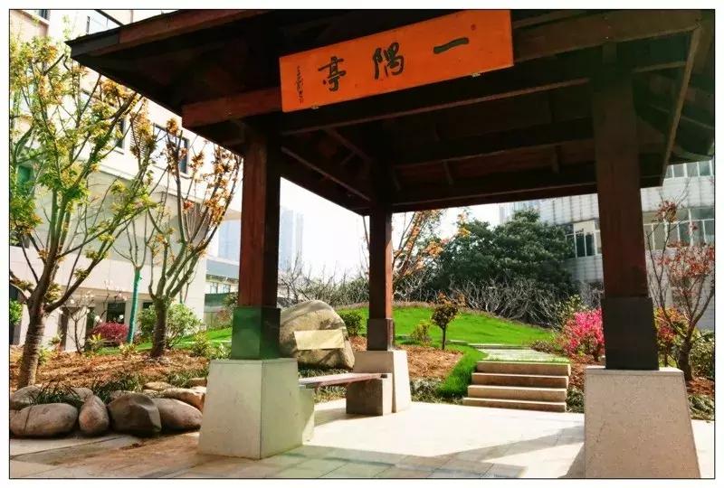 合肥二中艺术班怎么样,合肥二中音乐特长生报考要求