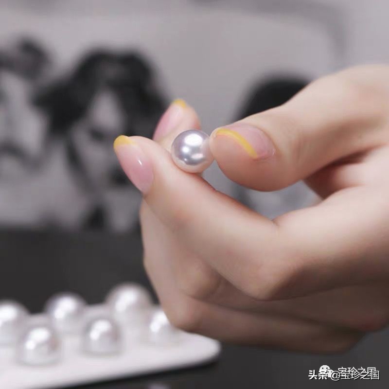 智识珍珠07|南洋白珠：珍珠界的“禁欲系”代表