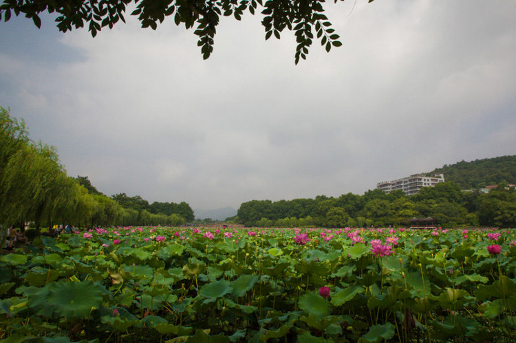 风光如画景色宜人,景色如画环境怡人