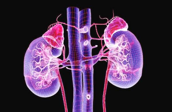 医生常用的解剖学、内外科口诀