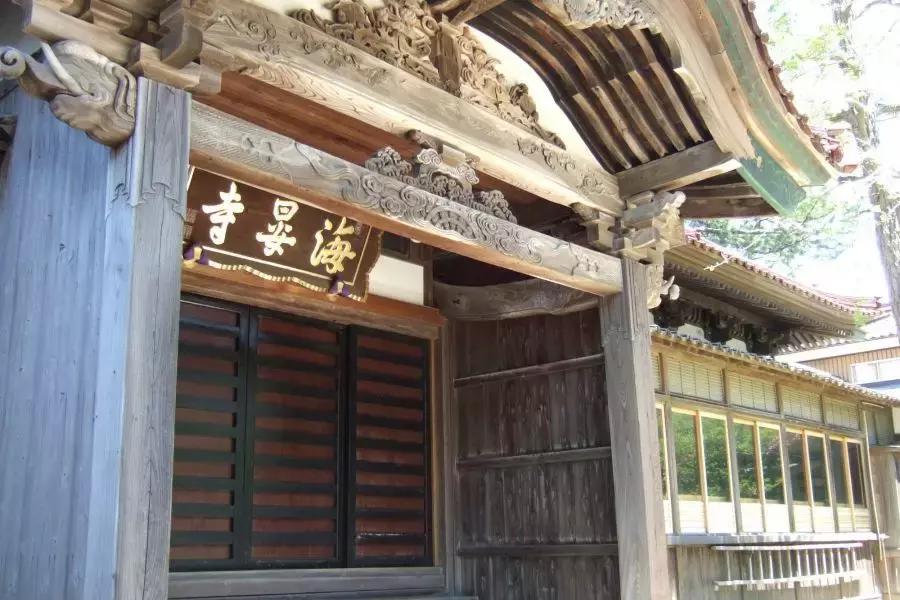 投机大师视频大全,最成功的投机大师