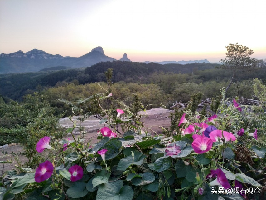 【碣石文苑】灯的记忆