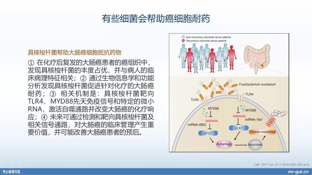 热心肠先生益生菌视频大全,热心肠先生全集