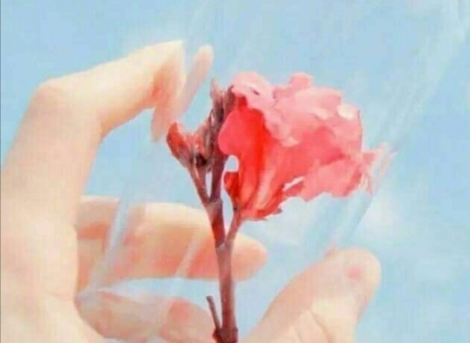 读研三年赚了15万,读研三年能赚多少