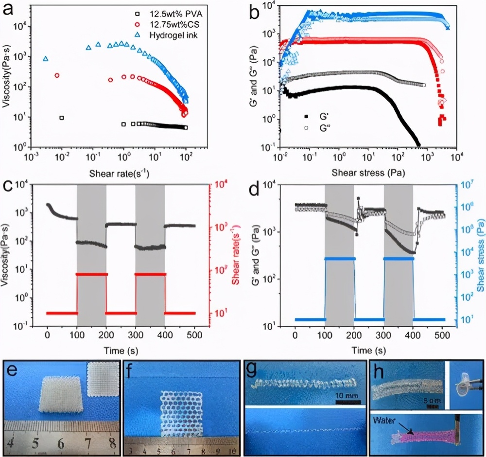 王晓龙/周峰《材料化学》3D打印超强韧性双物理交联壳聚糖凝胶