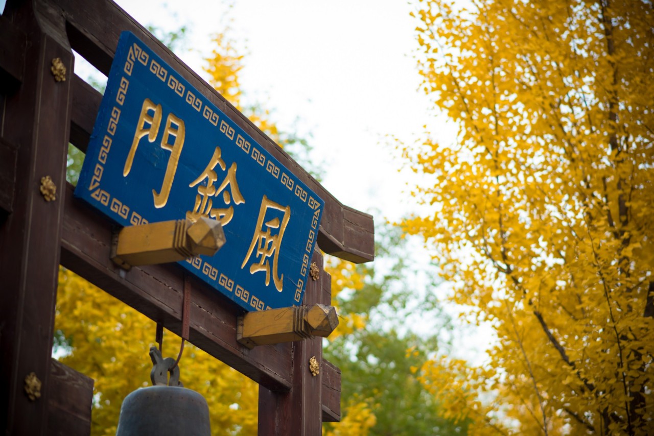 宋词最深情的十句最有名的诗句,十句最深情的诗词古文