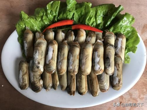 蛏子人参,海边人天天吃海鲜对身体好处