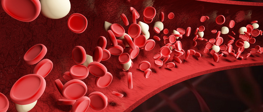 蛋蛋真的会碎掉吗?