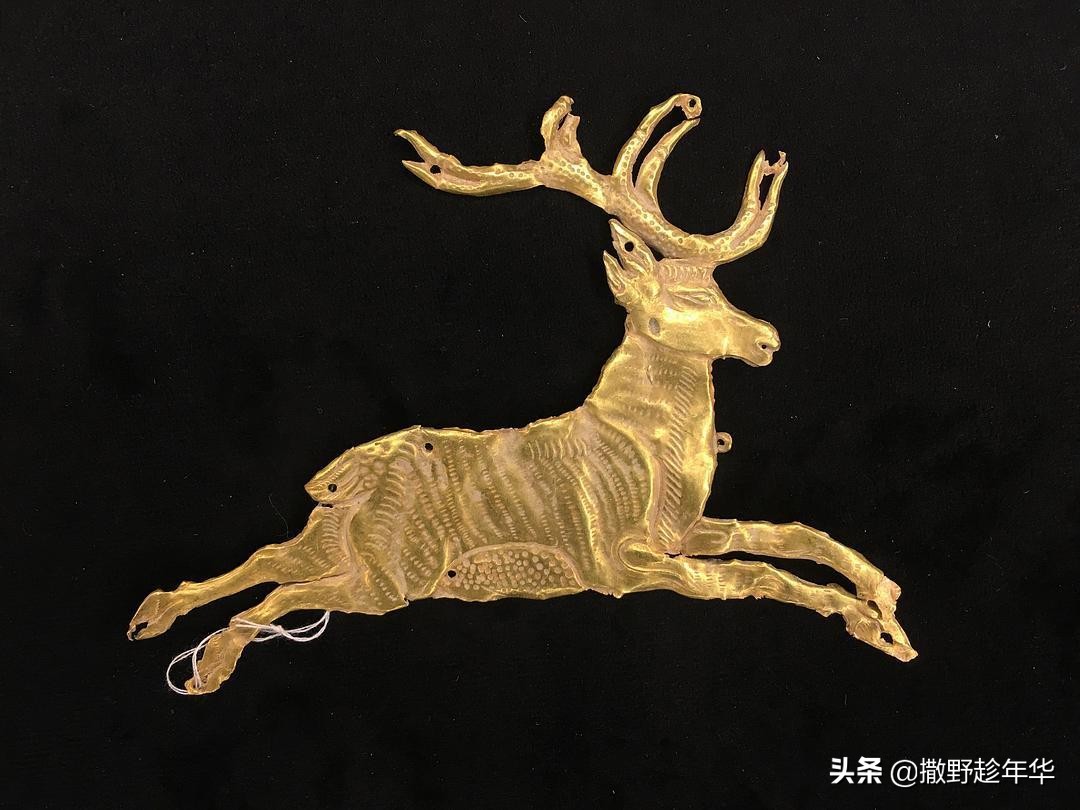 山宗·水源·路之冲|一带一路中的青海