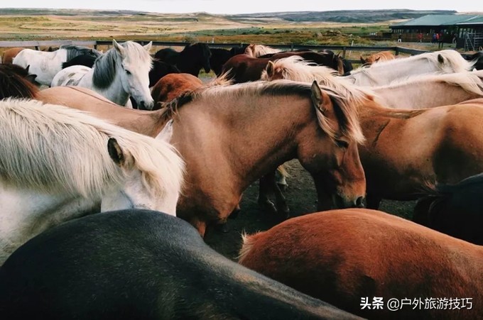冰与火之歌要多少钻石,冰岛冰与火之歌