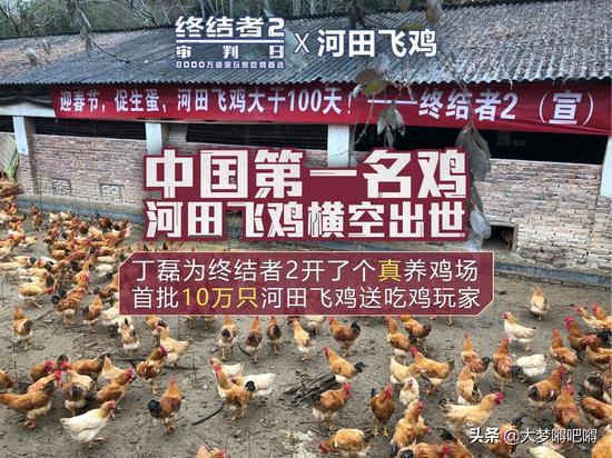 网易养猪,网易现在养猪怎么样了