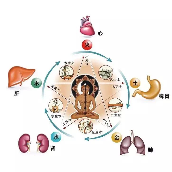 本草纲目对羊奶的描述,本草纲目讲羊奶属于温性