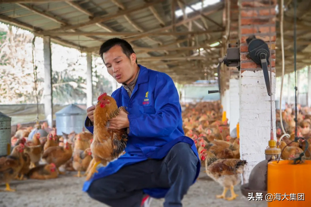 农民日报养殖视频,农民日报农民能挣多少钱