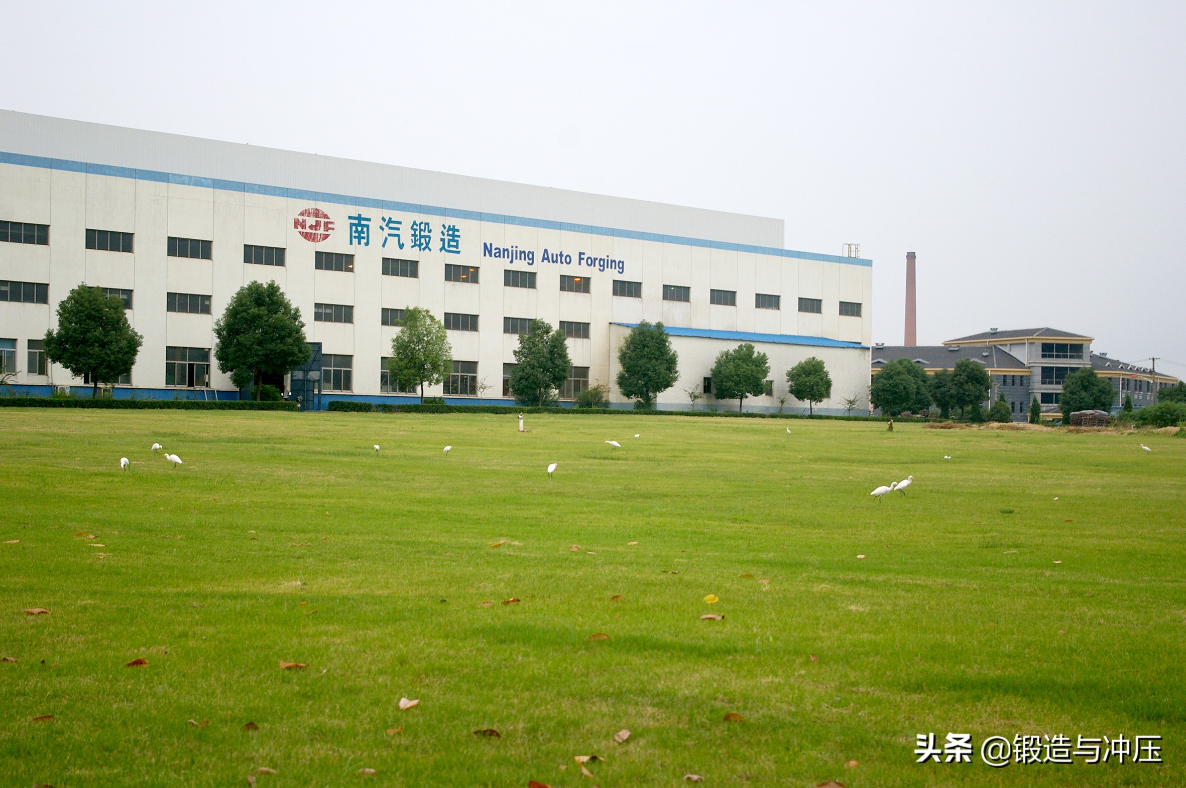 南汽锻造薪资,南汽锻造十周年庆