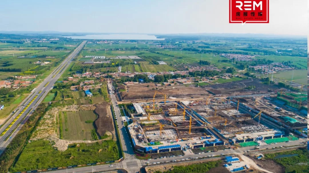 逆袭！原以为它抢了一块普通地块，结果是「亿万富翁」，它摊牌了