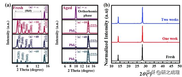 任广禹教授,任广禹教授科学家