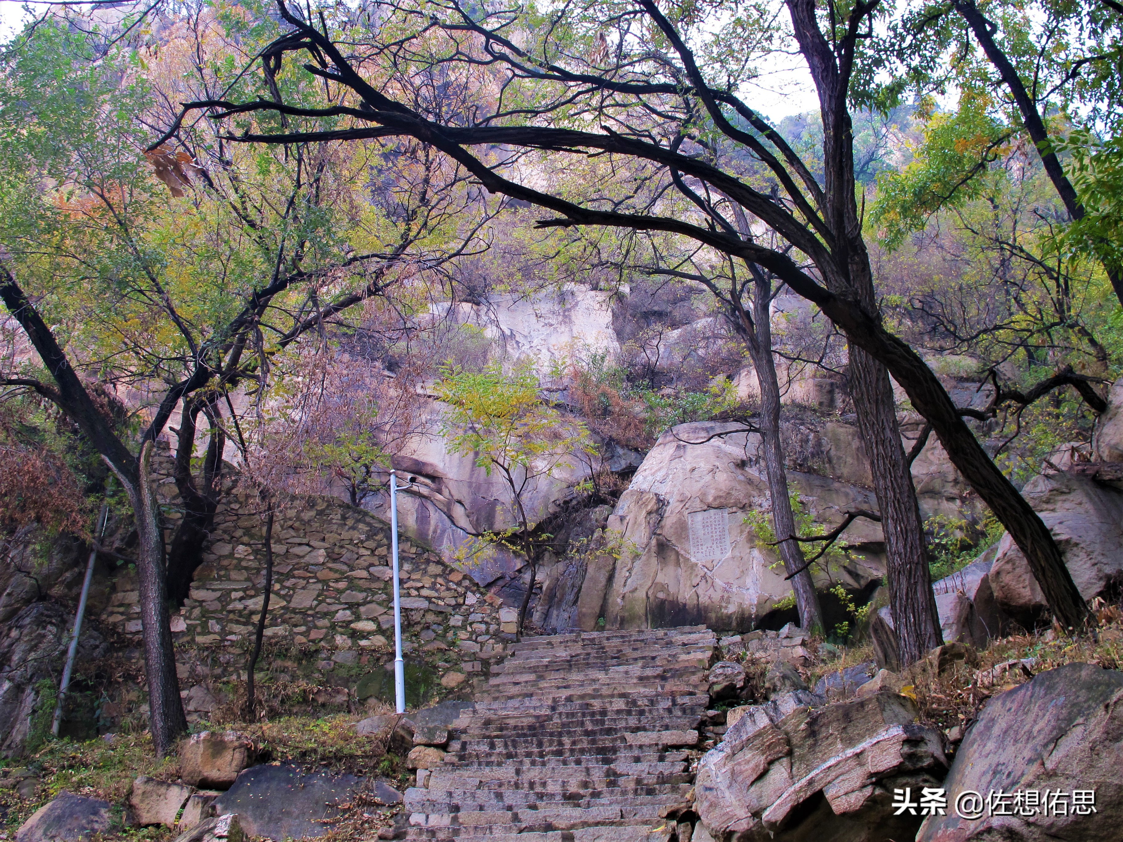 泰安扇子崖免门票吗,扇子崖门票多少钱