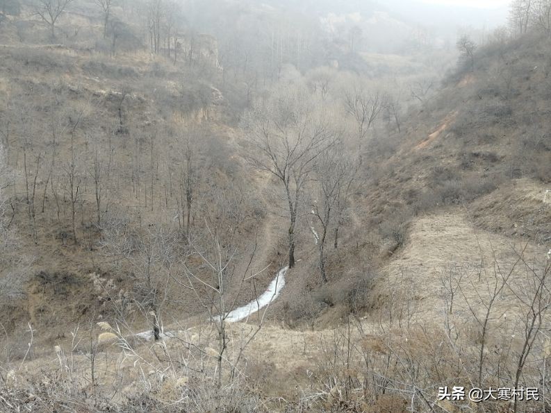 想象春天,想象中的春天